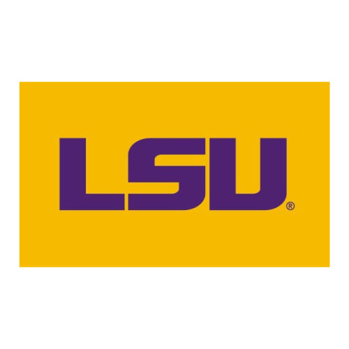 LSU - Gold • Appliqued